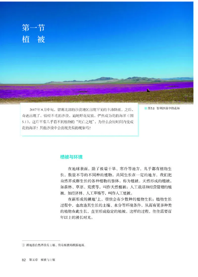 人教版地理必修第一册高清教材_4-教培资料-26年最新资料-同步更新_初中高中教资_03科三专项（进去保存报考的学科即可）_02科三专项（笔记真题思维导图教学设计版本二）