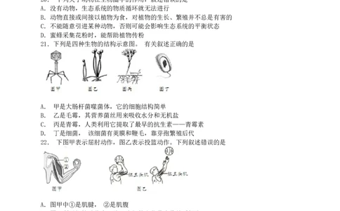 2019年山东青岛初中生物学业考试题及答案_中考真题_8.生物中考真题2015-2024年_地区卷_青岛生物