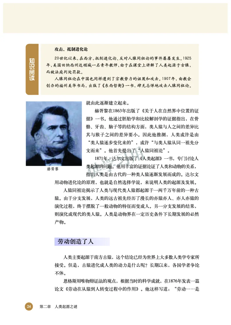 北师大版+高中历史+选修5_4-教培资料-26年最新资料-同步更新_初中高中教资_03科三专项（进去保存报考的学科即可）_02科三专项（笔记真题思维导图教学设计版本二）