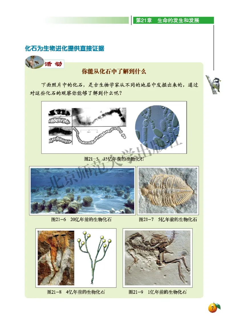 北师大8年级生物下册高清教材_4-教培资料-26年最新资料-同步更新_初中高中教资_03科三专项（进去保存报考的学科即可）_02科三专项（笔记真题思维导图教学设计版本二）