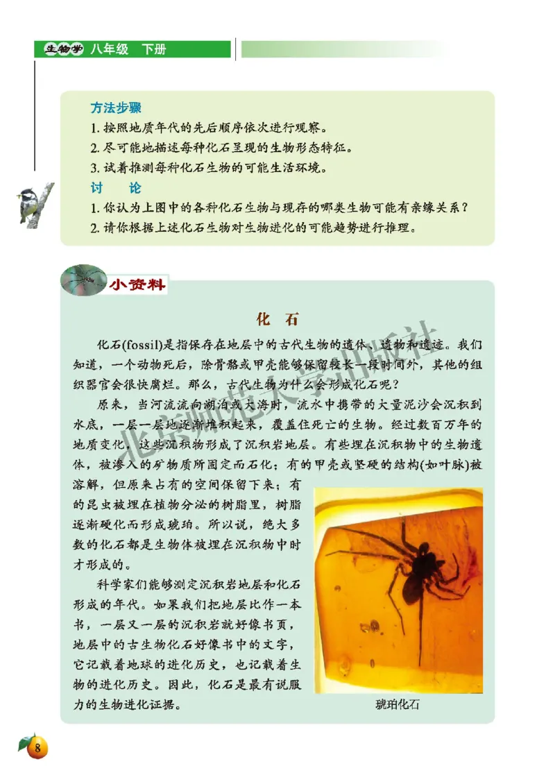 北师大8年级生物下册高清教材_4-教培资料-26年最新资料-同步更新_初中高中教资_03科三专项（进去保存报考的学科即可）_02科三专项（笔记真题思维导图教学设计版本二）