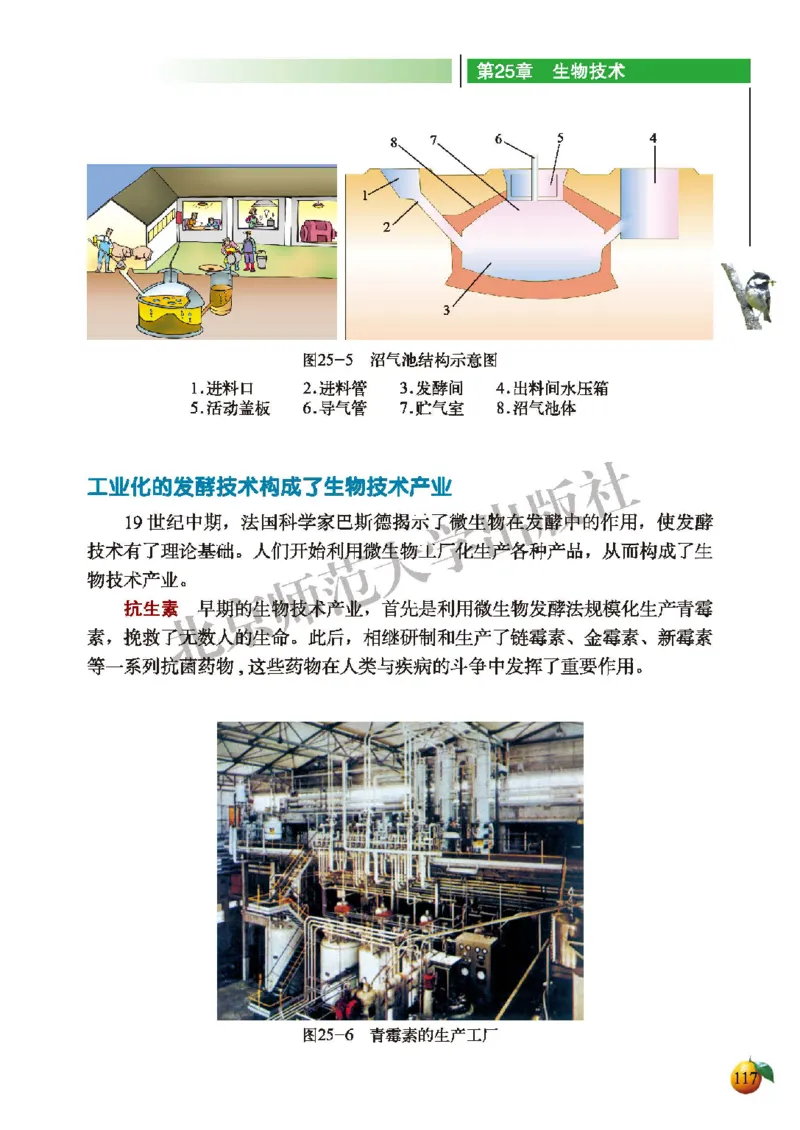 北师大8年级生物下册高清教材_4-教培资料-26年最新资料-同步更新_初中高中教资_03科三专项（进去保存报考的学科即可）_02科三专项（笔记真题思维导图教学设计版本二）