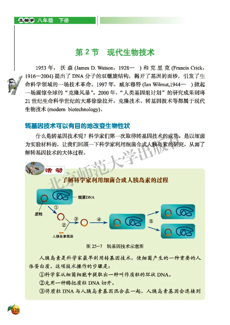 北师大8年级生物下册高清教材_4-教培资料-26年最新资料-同步更新_初中高中教资_03科三专项（进去保存报考的学科即可）_02科三专项（笔记真题思维导图教学设计版本二）