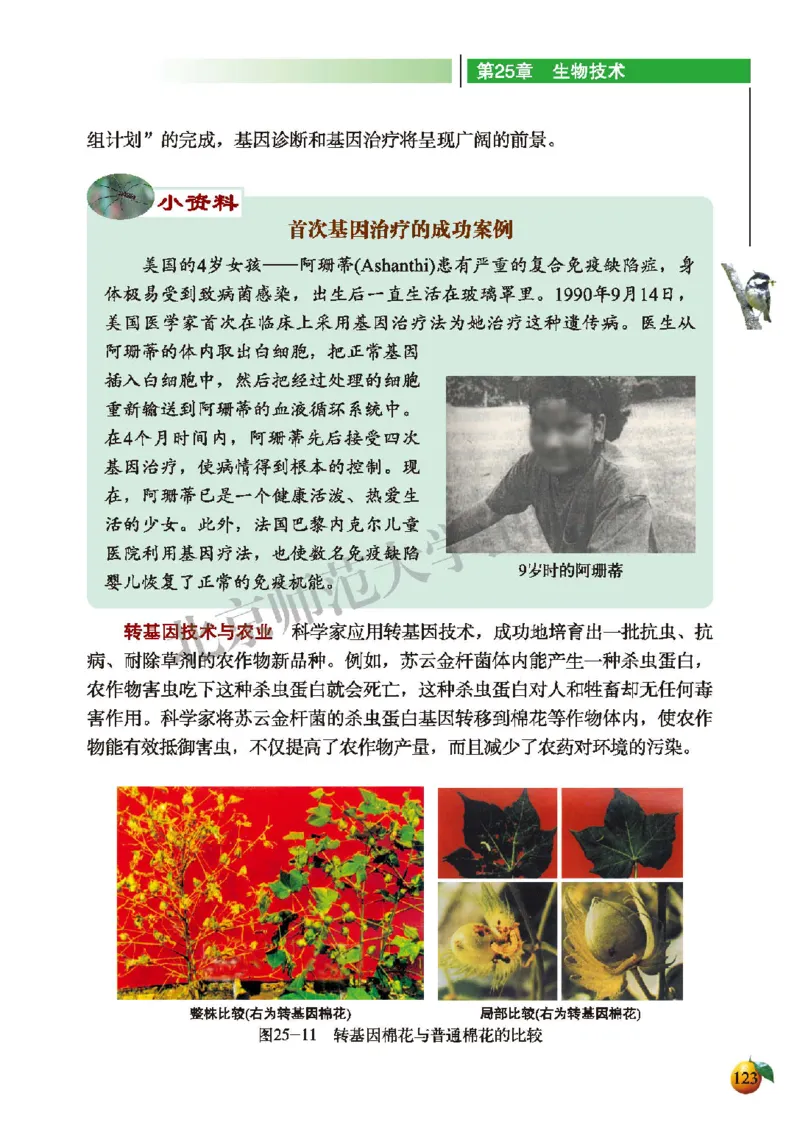 北师大8年级生物下册高清教材_4-教培资料-26年最新资料-同步更新_初中高中教资_03科三专项（进去保存报考的学科即可）_02科三专项（笔记真题思维导图教学设计版本二）