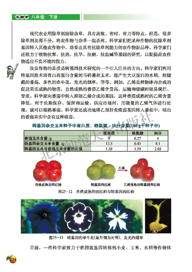 北师大8年级生物下册高清教材_4-教培资料-26年最新资料-同步更新_初中高中教资_03科三专项（进去保存报考的学科即可）_02科三专项（笔记真题思维导图教学设计版本二）
