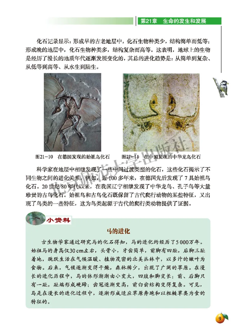 北师大8年级生物下册高清教材_4-教培资料-26年最新资料-同步更新_初中高中教资_03科三专项（进去保存报考的学科即可）_02科三专项（笔记真题思维导图教学设计版本二）