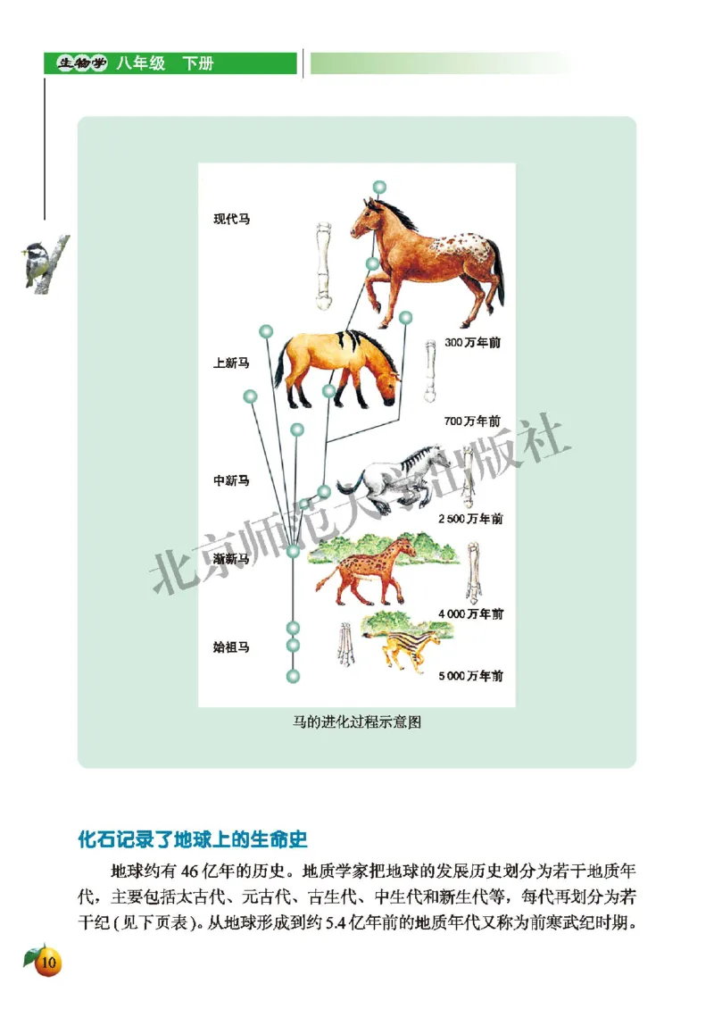 北师大8年级生物下册高清教材_4-教培资料-26年最新资料-同步更新_初中高中教资_03科三专项（进去保存报考的学科即可）_02科三专项（笔记真题思维导图教学设计版本二）