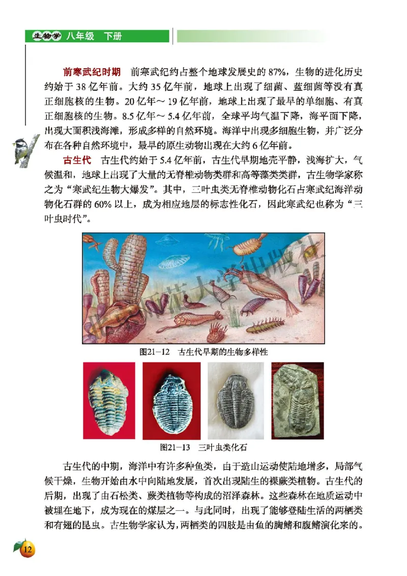 北师大8年级生物下册高清教材_4-教培资料-26年最新资料-同步更新_初中高中教资_03科三专项（进去保存报考的学科即可）_02科三专项（笔记真题思维导图教学设计版本二）