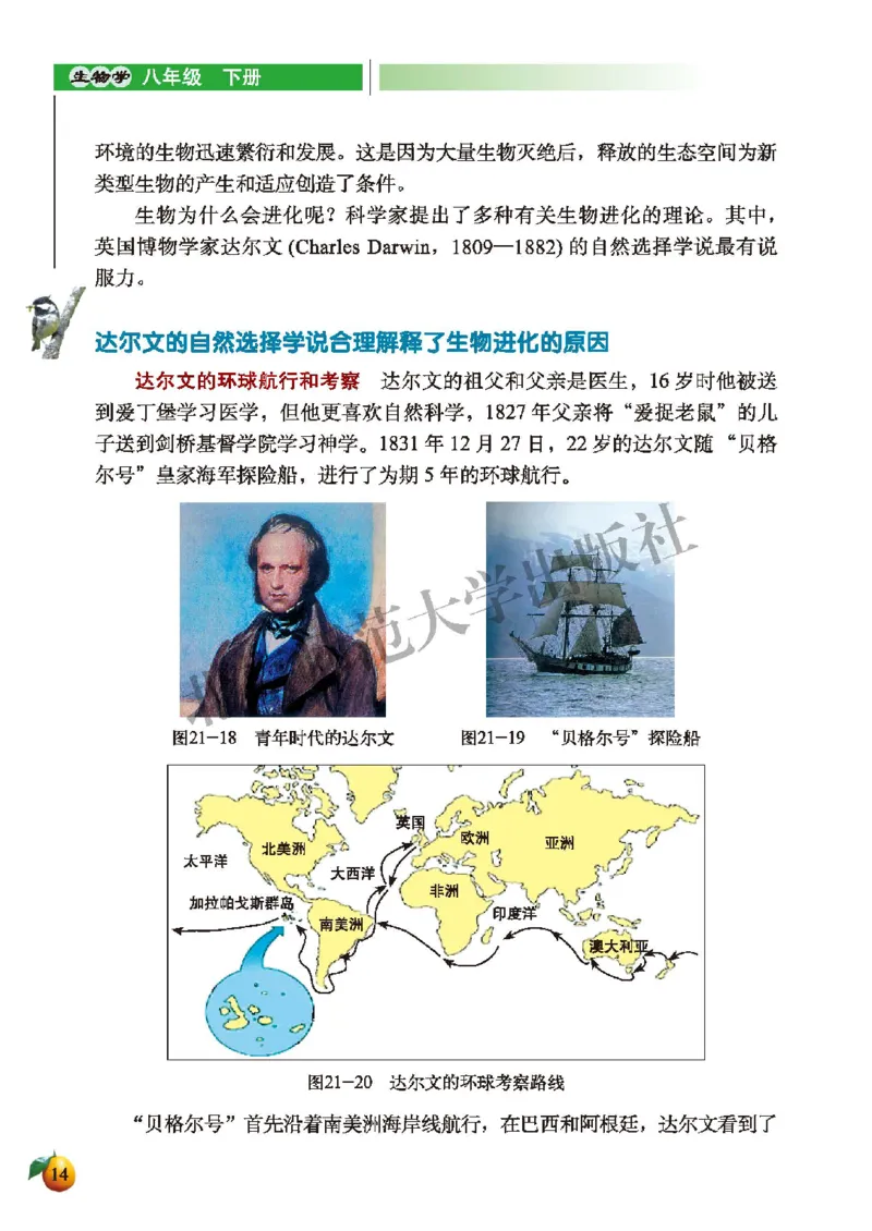 北师大8年级生物下册高清教材_4-教培资料-26年最新资料-同步更新_初中高中教资_03科三专项（进去保存报考的学科即可）_02科三专项（笔记真题思维导图教学设计版本二）