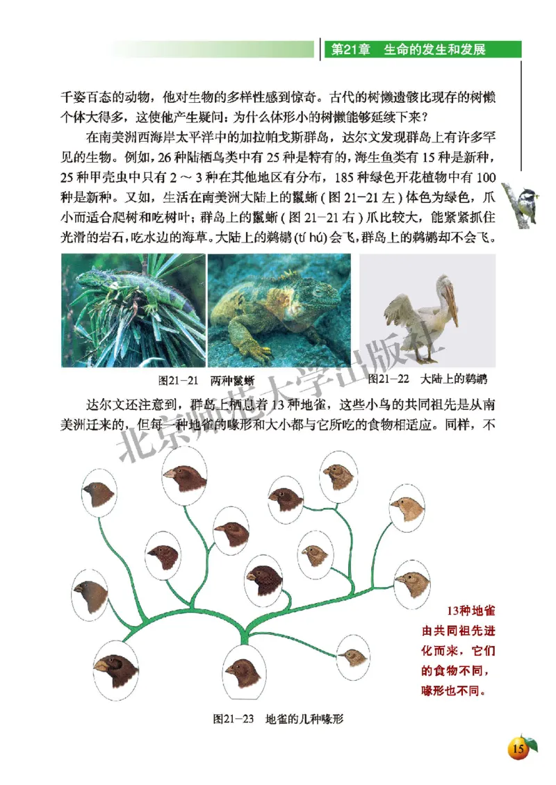 北师大8年级生物下册高清教材_4-教培资料-26年最新资料-同步更新_初中高中教资_03科三专项（进去保存报考的学科即可）_02科三专项（笔记真题思维导图教学设计版本二）