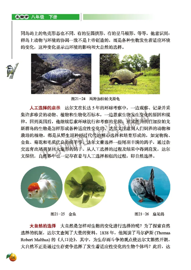 北师大8年级生物下册高清教材_4-教培资料-26年最新资料-同步更新_初中高中教资_03科三专项（进去保存报考的学科即可）_02科三专项（笔记真题思维导图教学设计版本二）