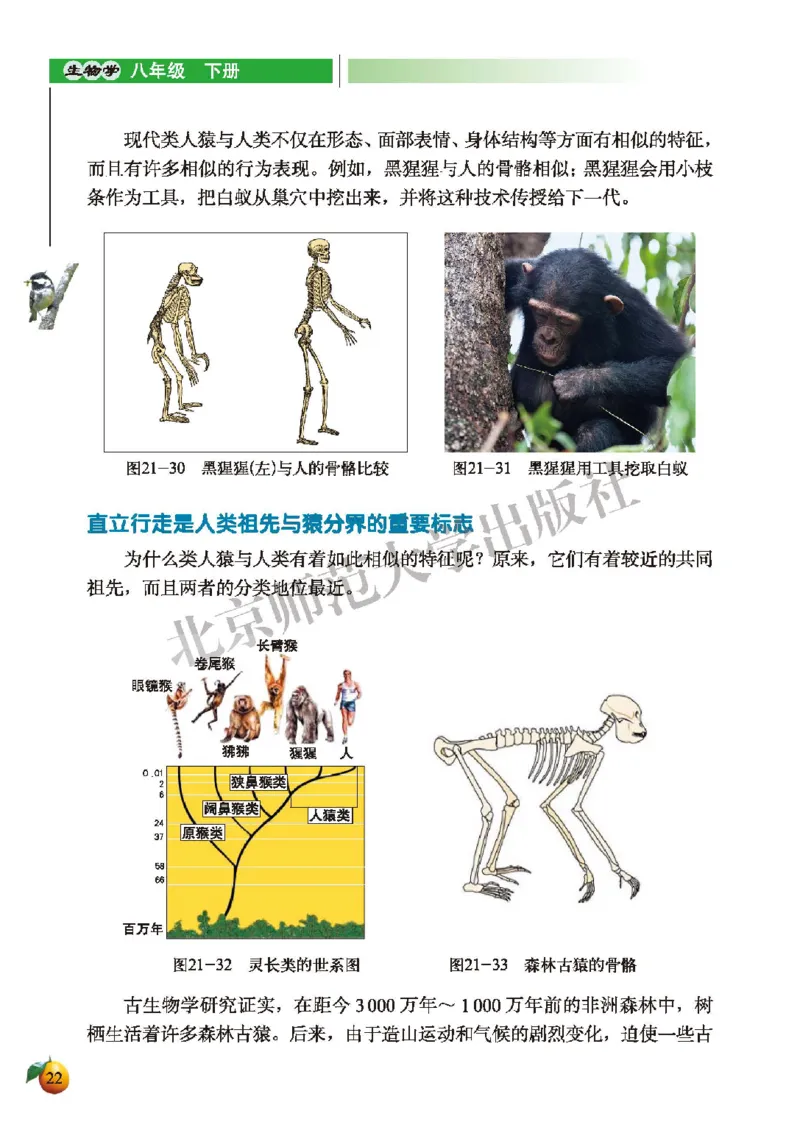 北师大8年级生物下册高清教材_4-教培资料-26年最新资料-同步更新_初中高中教资_03科三专项（进去保存报考的学科即可）_02科三专项（笔记真题思维导图教学设计版本二）