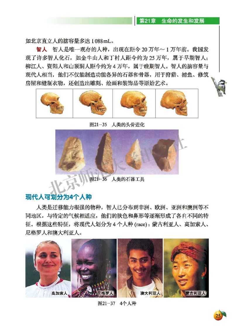 北师大8年级生物下册高清教材_4-教培资料-26年最新资料-同步更新_初中高中教资_03科三专项（进去保存报考的学科即可）_02科三专项（笔记真题思维导图教学设计版本二）