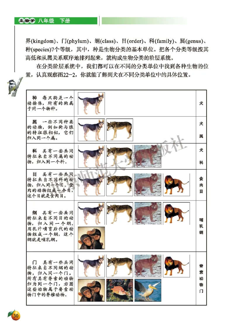 北师大8年级生物下册高清教材_4-教培资料-26年最新资料-同步更新_初中高中教资_03科三专项（进去保存报考的学科即可）_02科三专项（笔记真题思维导图教学设计版本二）