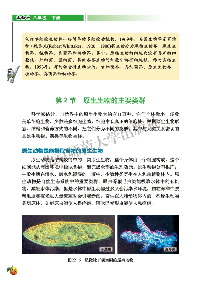 北师大8年级生物下册高清教材_4-教培资料-26年最新资料-同步更新_初中高中教资_03科三专项（进去保存报考的学科即可）_02科三专项（笔记真题思维导图教学设计版本二）