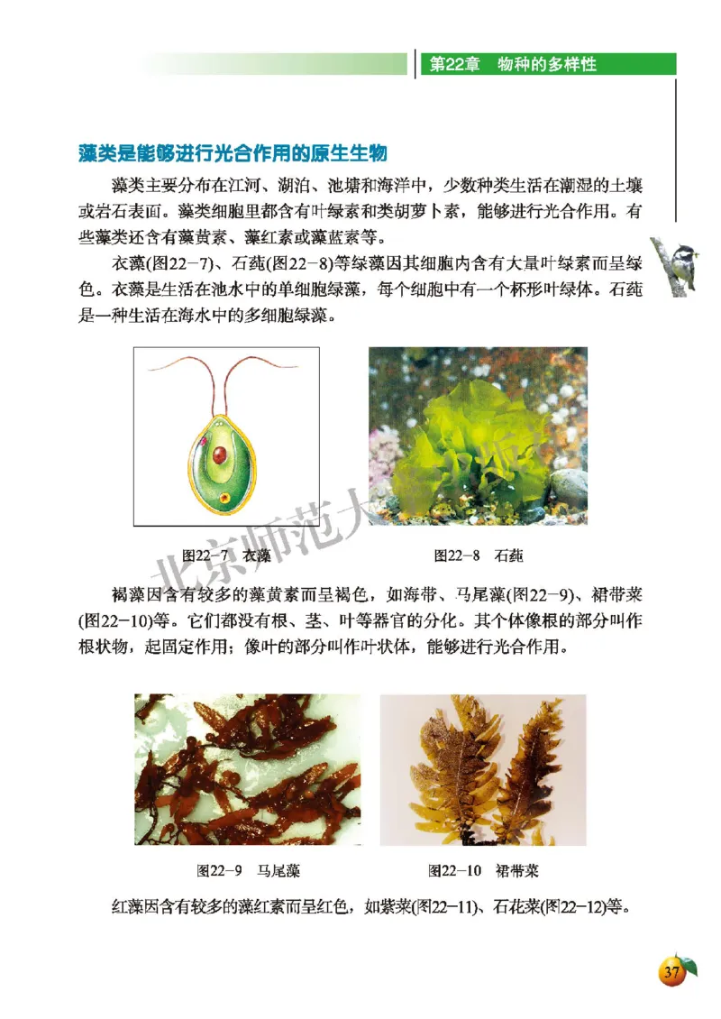 北师大8年级生物下册高清教材_4-教培资料-26年最新资料-同步更新_初中高中教资_03科三专项（进去保存报考的学科即可）_02科三专项（笔记真题思维导图教学设计版本二）