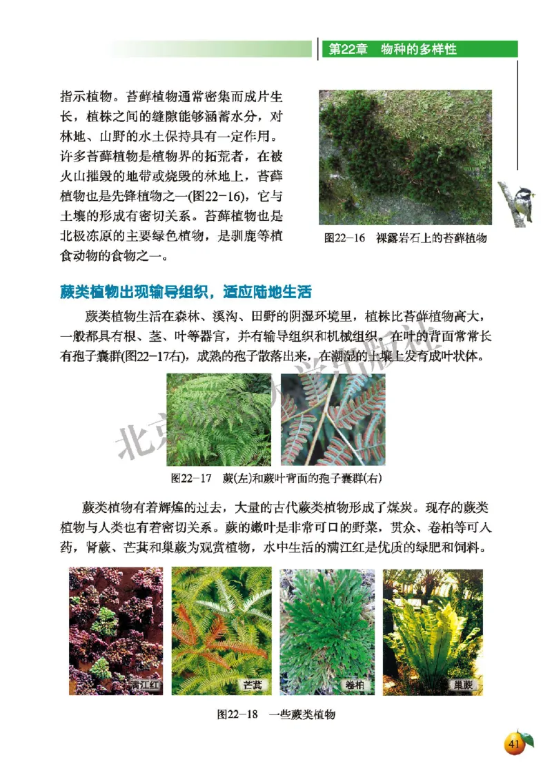 北师大8年级生物下册高清教材_4-教培资料-26年最新资料-同步更新_初中高中教资_03科三专项（进去保存报考的学科即可）_02科三专项（笔记真题思维导图教学设计版本二）