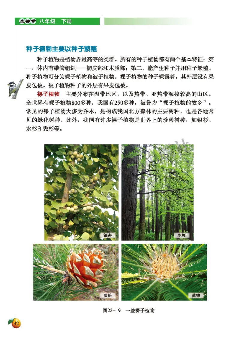 北师大8年级生物下册高清教材_4-教培资料-26年最新资料-同步更新_初中高中教资_03科三专项（进去保存报考的学科即可）_02科三专项（笔记真题思维导图教学设计版本二）