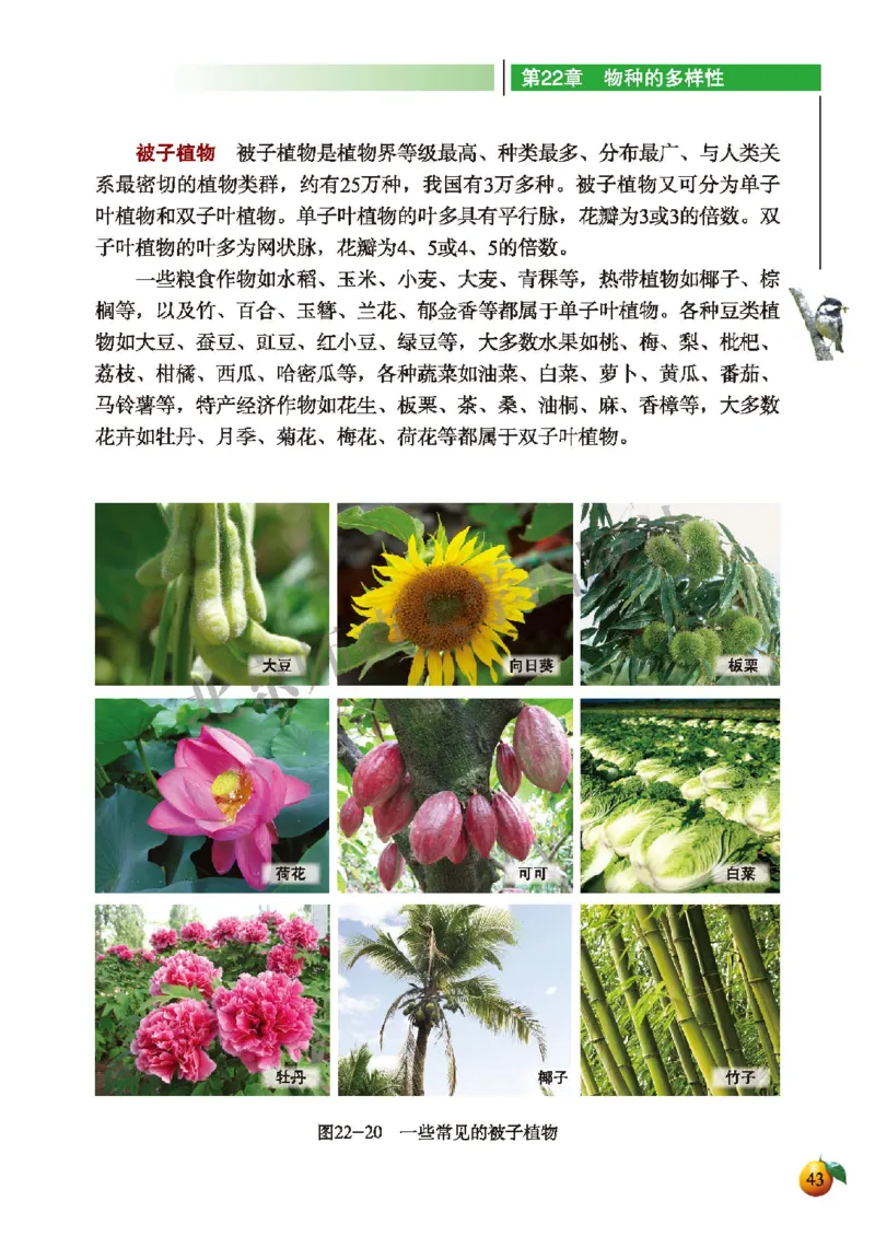 北师大8年级生物下册高清教材_4-教培资料-26年最新资料-同步更新_初中高中教资_03科三专项（进去保存报考的学科即可）_02科三专项（笔记真题思维导图教学设计版本二）