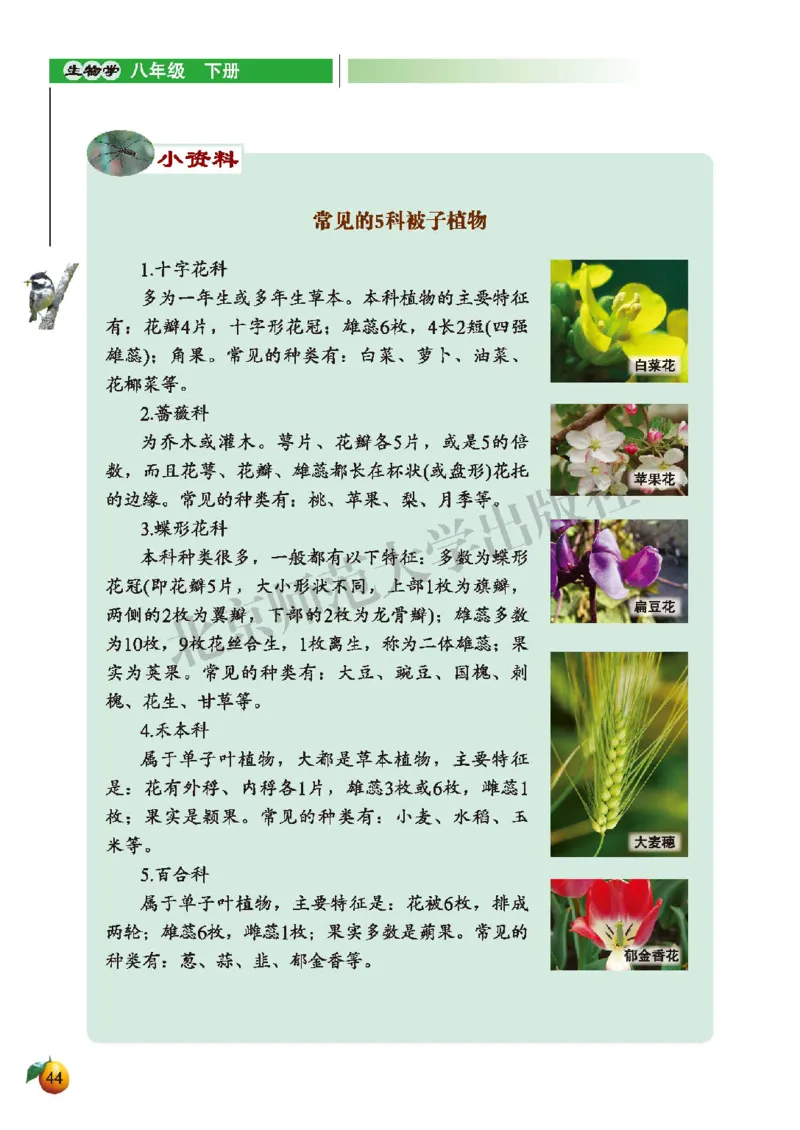 北师大8年级生物下册高清教材_4-教培资料-26年最新资料-同步更新_初中高中教资_03科三专项（进去保存报考的学科即可）_02科三专项（笔记真题思维导图教学设计版本二）