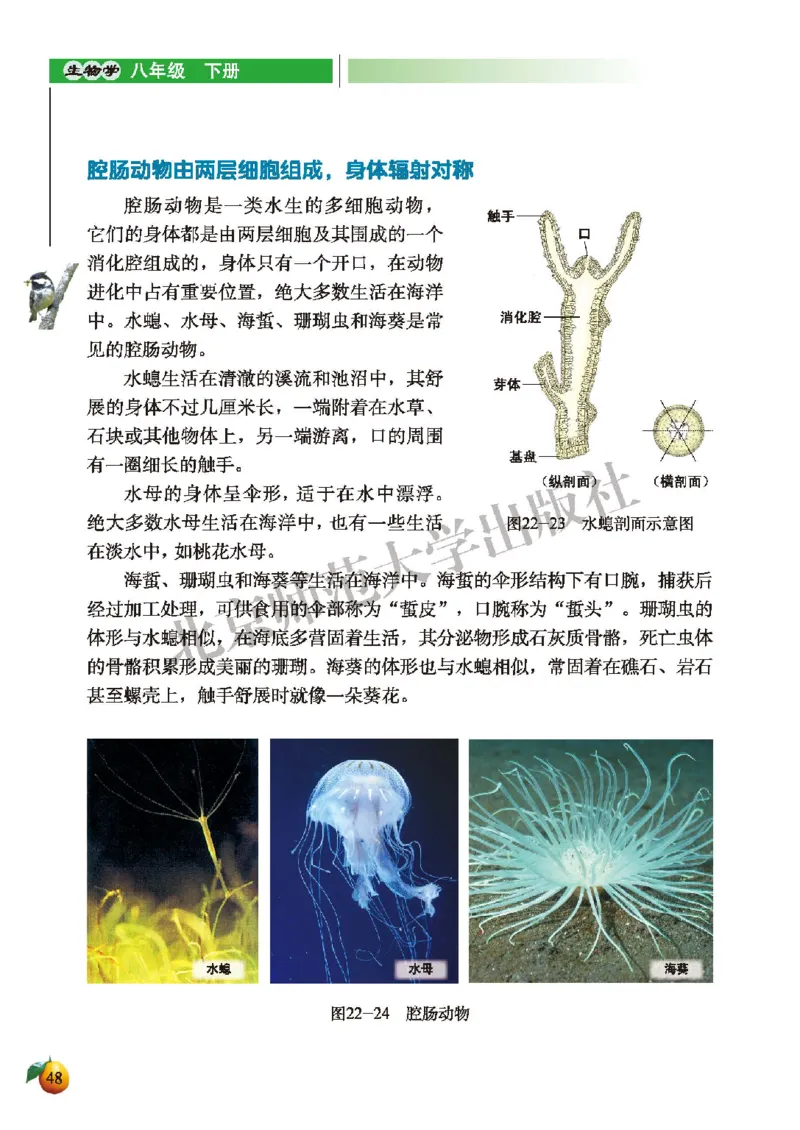 北师大8年级生物下册高清教材_4-教培资料-26年最新资料-同步更新_初中高中教资_03科三专项（进去保存报考的学科即可）_02科三专项（笔记真题思维导图教学设计版本二）