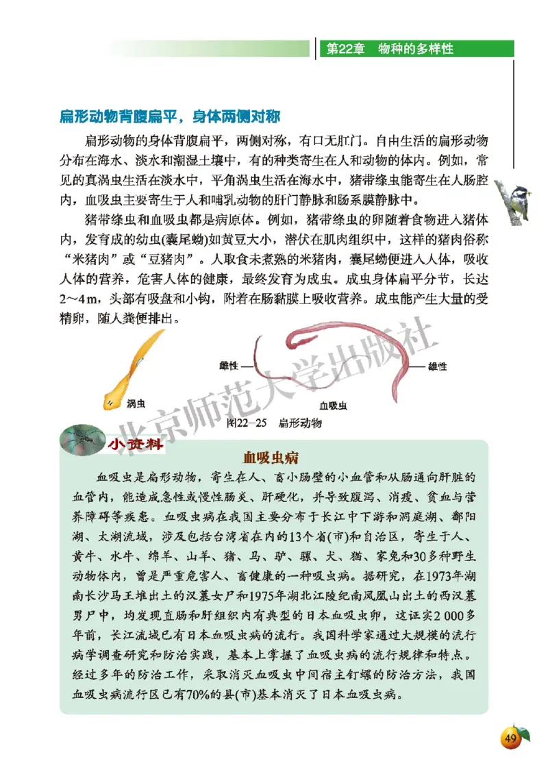 北师大8年级生物下册高清教材_4-教培资料-26年最新资料-同步更新_初中高中教资_03科三专项（进去保存报考的学科即可）_02科三专项（笔记真题思维导图教学设计版本二）
