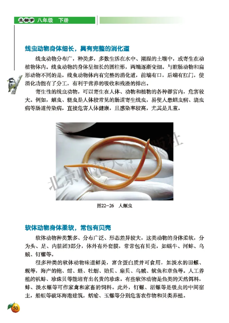 北师大8年级生物下册高清教材_4-教培资料-26年最新资料-同步更新_初中高中教资_03科三专项（进去保存报考的学科即可）_02科三专项（笔记真题思维导图教学设计版本二）