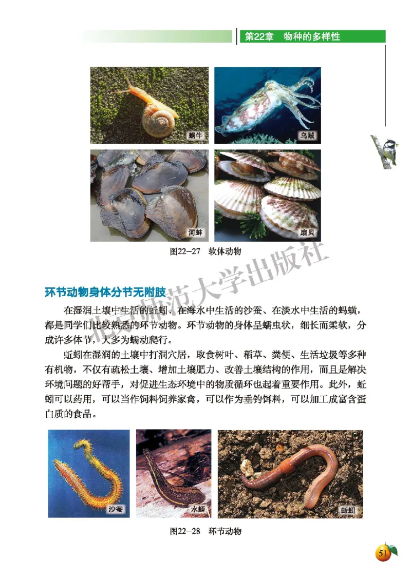 北师大8年级生物下册高清教材_4-教培资料-26年最新资料-同步更新_初中高中教资_03科三专项（进去保存报考的学科即可）_02科三专项（笔记真题思维导图教学设计版本二）