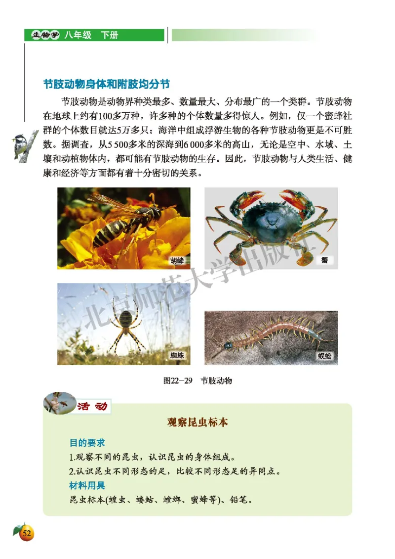 北师大8年级生物下册高清教材_4-教培资料-26年最新资料-同步更新_初中高中教资_03科三专项（进去保存报考的学科即可）_02科三专项（笔记真题思维导图教学设计版本二）