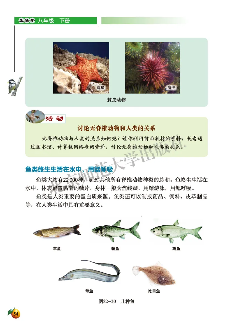 北师大8年级生物下册高清教材_4-教培资料-26年最新资料-同步更新_初中高中教资_03科三专项（进去保存报考的学科即可）_02科三专项（笔记真题思维导图教学设计版本二）