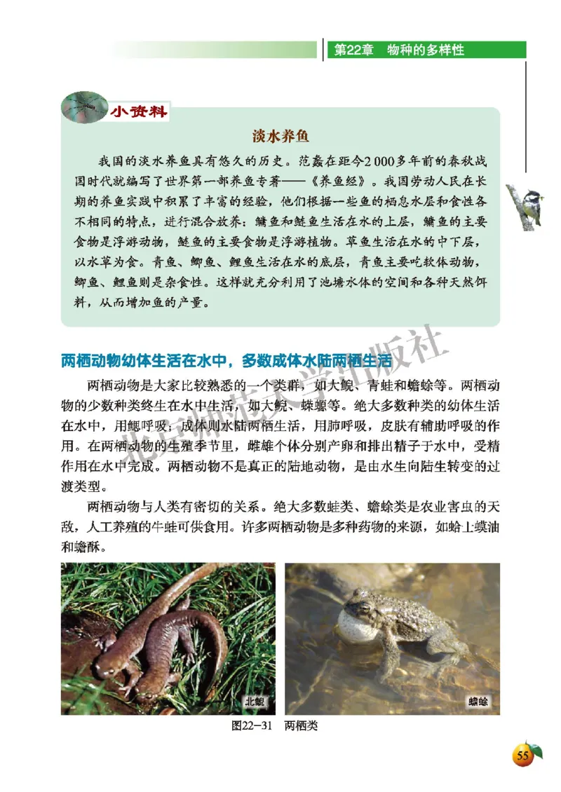 北师大8年级生物下册高清教材_4-教培资料-26年最新资料-同步更新_初中高中教资_03科三专项（进去保存报考的学科即可）_02科三专项（笔记真题思维导图教学设计版本二）
