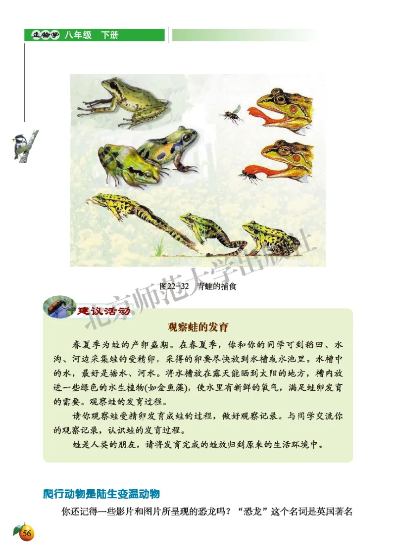 北师大8年级生物下册高清教材_4-教培资料-26年最新资料-同步更新_初中高中教资_03科三专项（进去保存报考的学科即可）_02科三专项（笔记真题思维导图教学设计版本二）