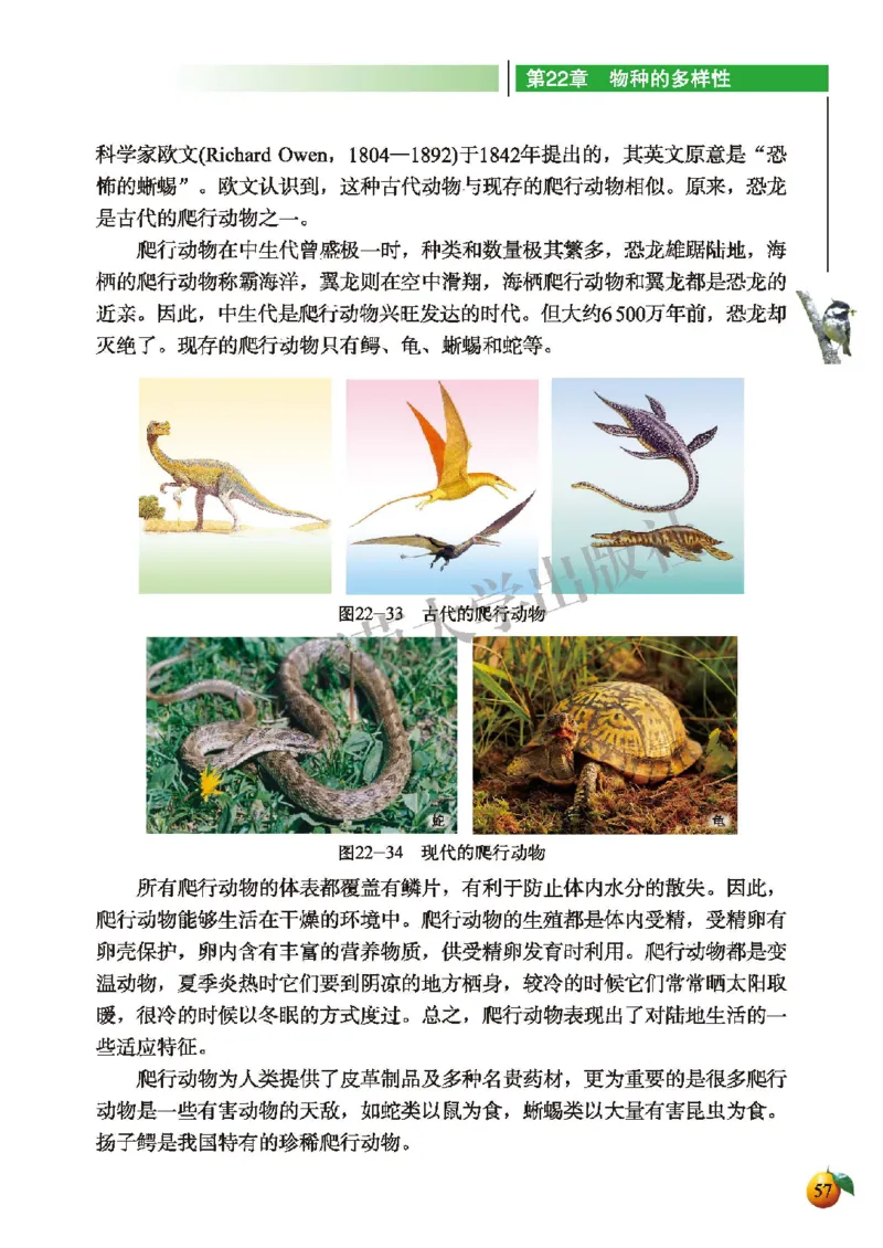 北师大8年级生物下册高清教材_4-教培资料-26年最新资料-同步更新_初中高中教资_03科三专项（进去保存报考的学科即可）_02科三专项（笔记真题思维导图教学设计版本二）