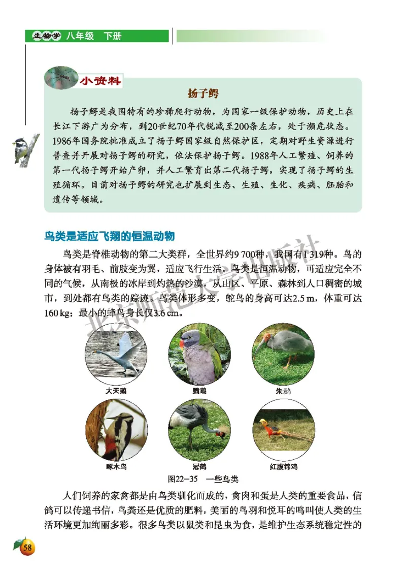 北师大8年级生物下册高清教材_4-教培资料-26年最新资料-同步更新_初中高中教资_03科三专项（进去保存报考的学科即可）_02科三专项（笔记真题思维导图教学设计版本二）