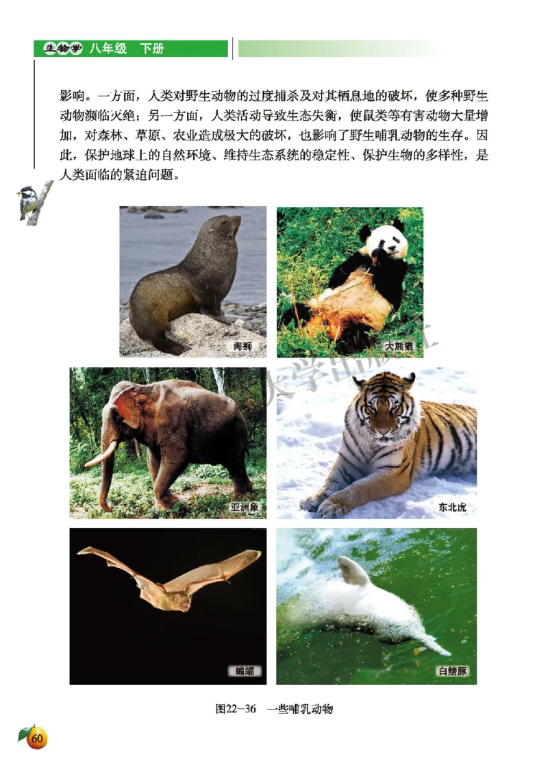 北师大8年级生物下册高清教材_4-教培资料-26年最新资料-同步更新_初中高中教资_03科三专项（进去保存报考的学科即可）_02科三专项（笔记真题思维导图教学设计版本二）