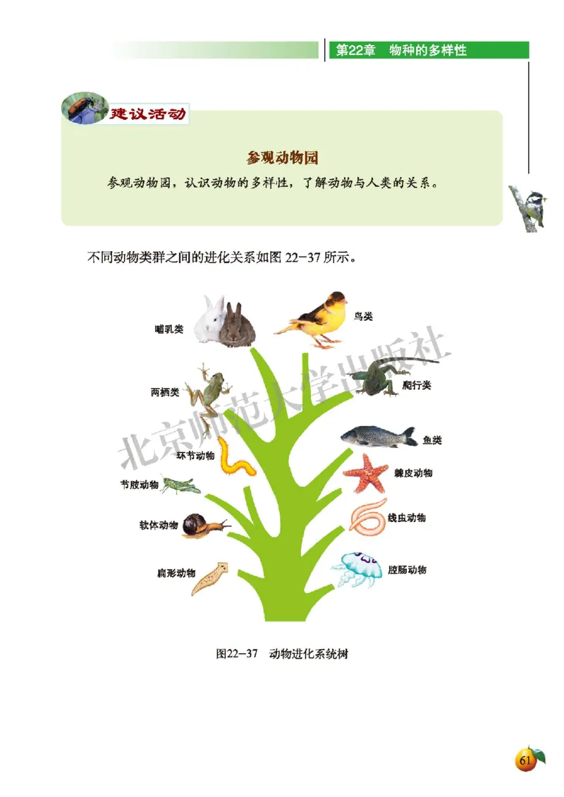 北师大8年级生物下册高清教材_4-教培资料-26年最新资料-同步更新_初中高中教资_03科三专项（进去保存报考的学科即可）_02科三专项（笔记真题思维导图教学设计版本二）