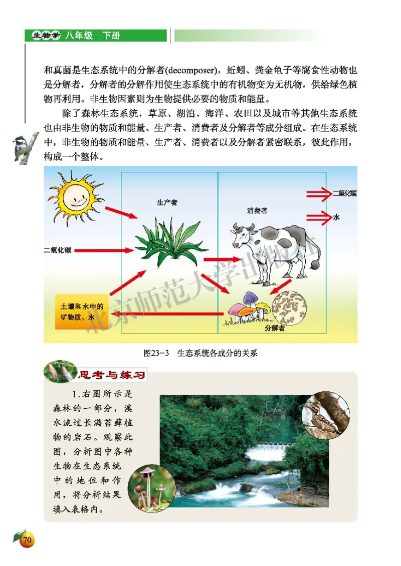 北师大8年级生物下册高清教材_4-教培资料-26年最新资料-同步更新_初中高中教资_03科三专项（进去保存报考的学科即可）_02科三专项（笔记真题思维导图教学设计版本二）