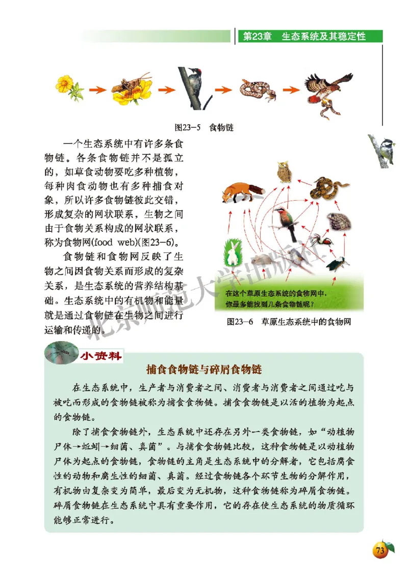 北师大8年级生物下册高清教材_4-教培资料-26年最新资料-同步更新_初中高中教资_03科三专项（进去保存报考的学科即可）_02科三专项（笔记真题思维导图教学设计版本二）