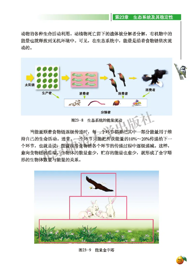 北师大8年级生物下册高清教材_4-教培资料-26年最新资料-同步更新_初中高中教资_03科三专项（进去保存报考的学科即可）_02科三专项（笔记真题思维导图教学设计版本二）