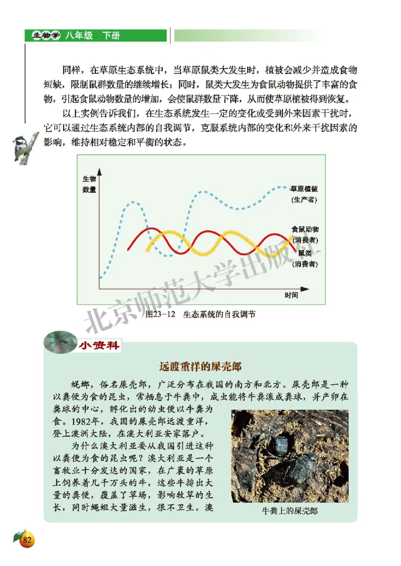 北师大8年级生物下册高清教材_4-教培资料-26年最新资料-同步更新_初中高中教资_03科三专项（进去保存报考的学科即可）_02科三专项（笔记真题思维导图教学设计版本二）