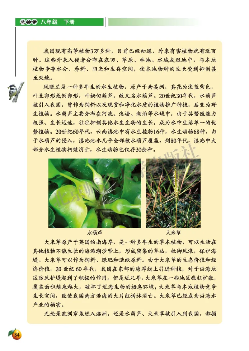 北师大8年级生物下册高清教材_4-教培资料-26年最新资料-同步更新_初中高中教资_03科三专项（进去保存报考的学科即可）_02科三专项（笔记真题思维导图教学设计版本二）