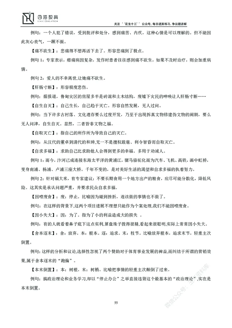 花生十三言语理解讲义_2026考公资料_花生十三合集_（98）黑白画风精炼版2021花生十三_2021花生十三言语理解