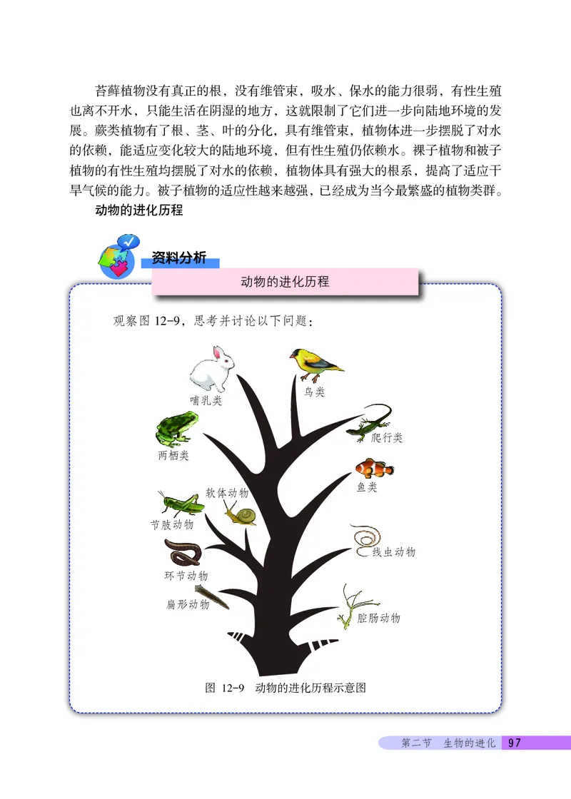 北京版8年级生物上册高清教材_4-教培资料-26年最新资料-同步更新_初中高中教资_03科三专项（进去保存报考的学科即可）_02科三专项（笔记真题思维导图教学设计版本二）