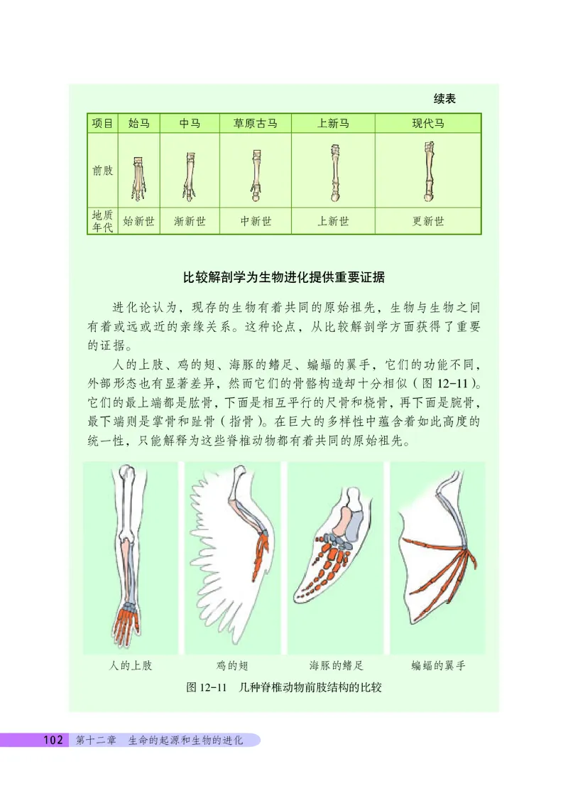 北京版8年级生物上册高清教材_4-教培资料-26年最新资料-同步更新_初中高中教资_03科三专项（进去保存报考的学科即可）_02科三专项（笔记真题思维导图教学设计版本二）