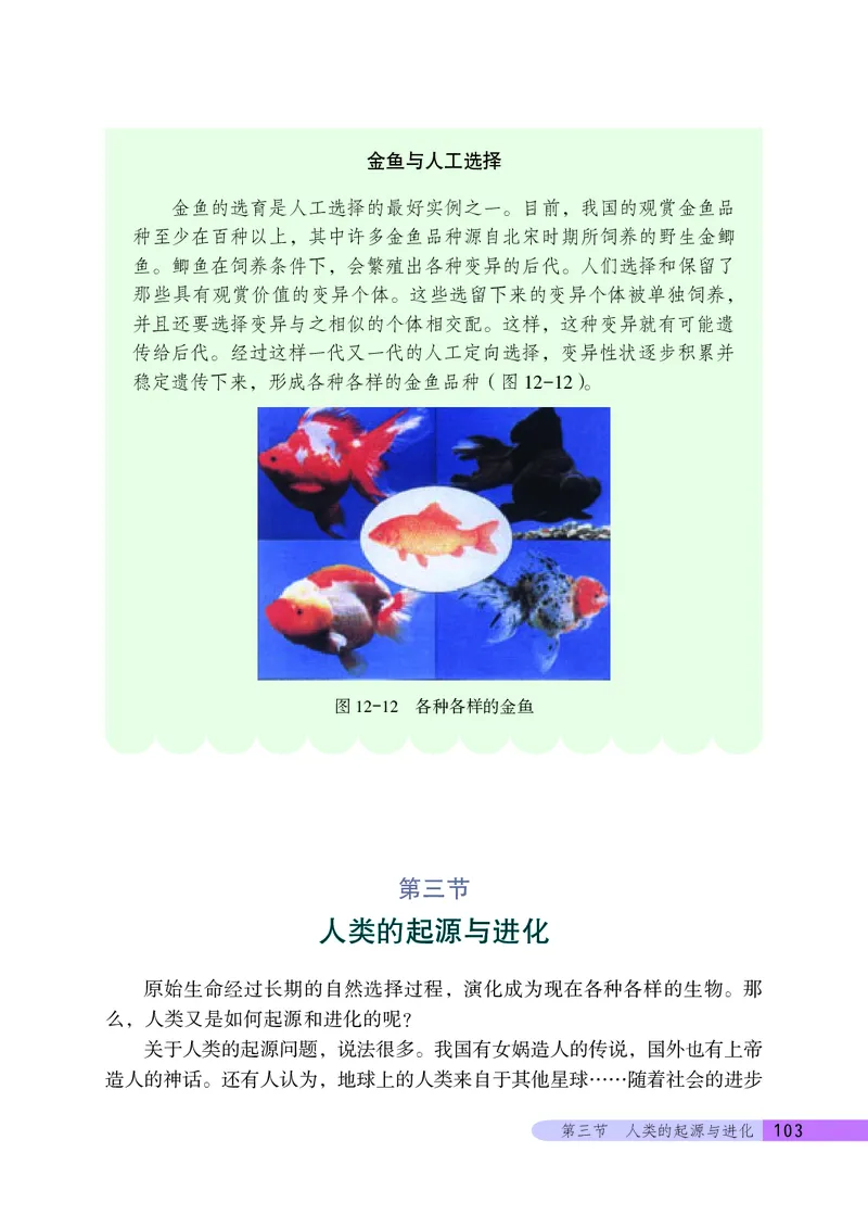 北京版8年级生物上册高清教材_4-教培资料-26年最新资料-同步更新_初中高中教资_03科三专项（进去保存报考的学科即可）_02科三专项（笔记真题思维导图教学设计版本二）
