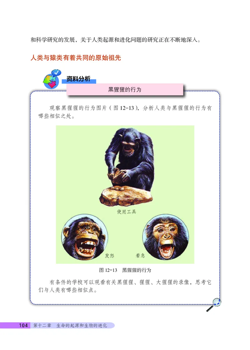 北京版8年级生物上册高清教材_4-教培资料-26年最新资料-同步更新_初中高中教资_03科三专项（进去保存报考的学科即可）_02科三专项（笔记真题思维导图教学设计版本二）