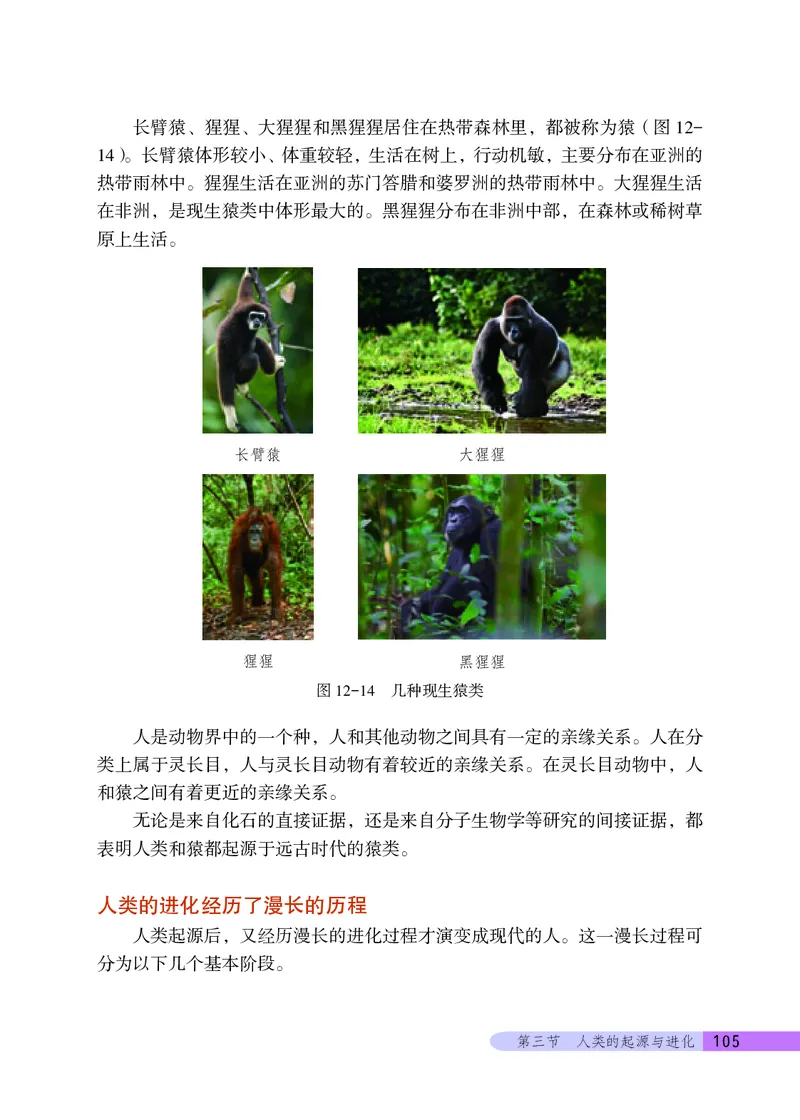 北京版8年级生物上册高清教材_4-教培资料-26年最新资料-同步更新_初中高中教资_03科三专项（进去保存报考的学科即可）_02科三专项（笔记真题思维导图教学设计版本二）