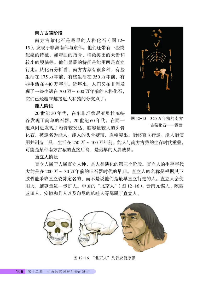 北京版8年级生物上册高清教材_4-教培资料-26年最新资料-同步更新_初中高中教资_03科三专项（进去保存报考的学科即可）_02科三专项（笔记真题思维导图教学设计版本二）