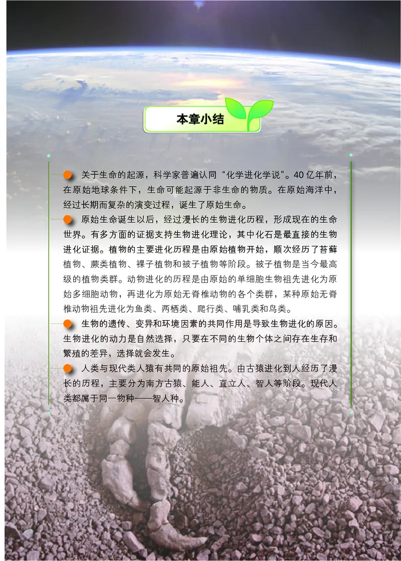 北京版8年级生物上册高清教材_4-教培资料-26年最新资料-同步更新_初中高中教资_03科三专项（进去保存报考的学科即可）_02科三专项（笔记真题思维导图教学设计版本二）