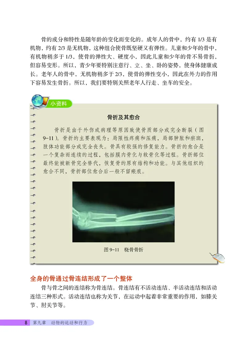 北京版8年级生物上册高清教材_4-教培资料-26年最新资料-同步更新_初中高中教资_03科三专项（进去保存报考的学科即可）_02科三专项（笔记真题思维导图教学设计版本二）